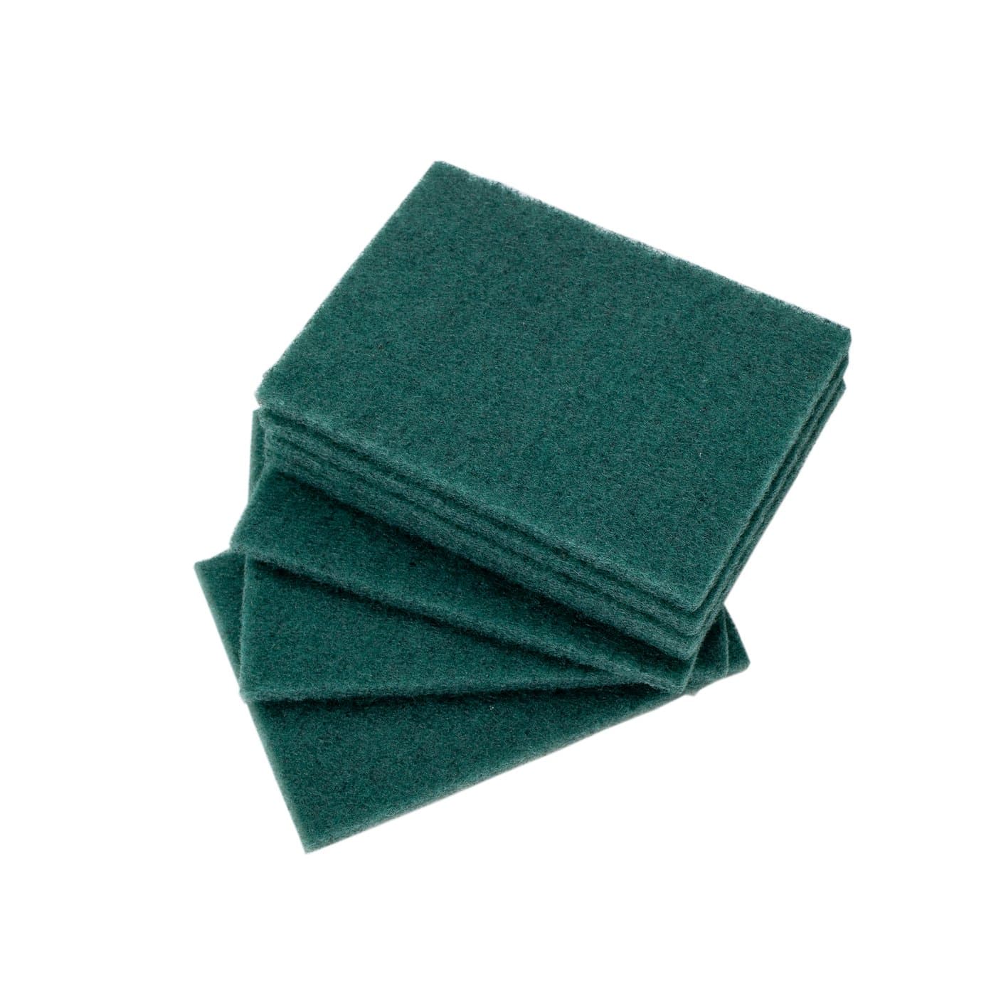 Scouring Pad 4